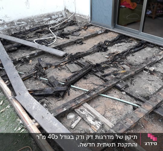 עץ שבור ומפורק בגינה ליד דלת זכוכית
